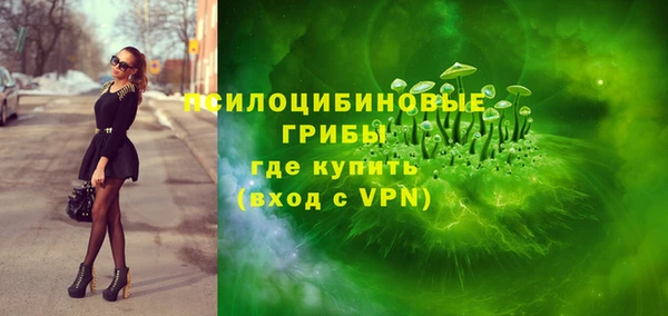 прущий лед Бронницы